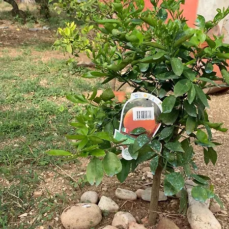 Casa M&M * Osimo