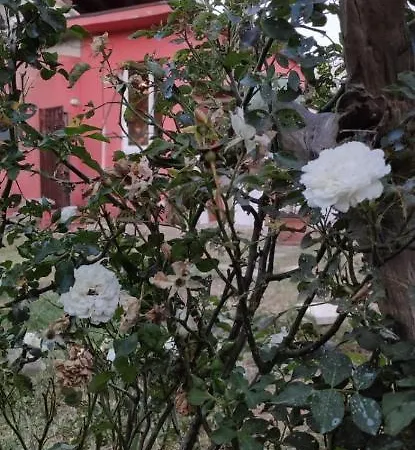 Casa M&M Διαμέρισμα Osimo